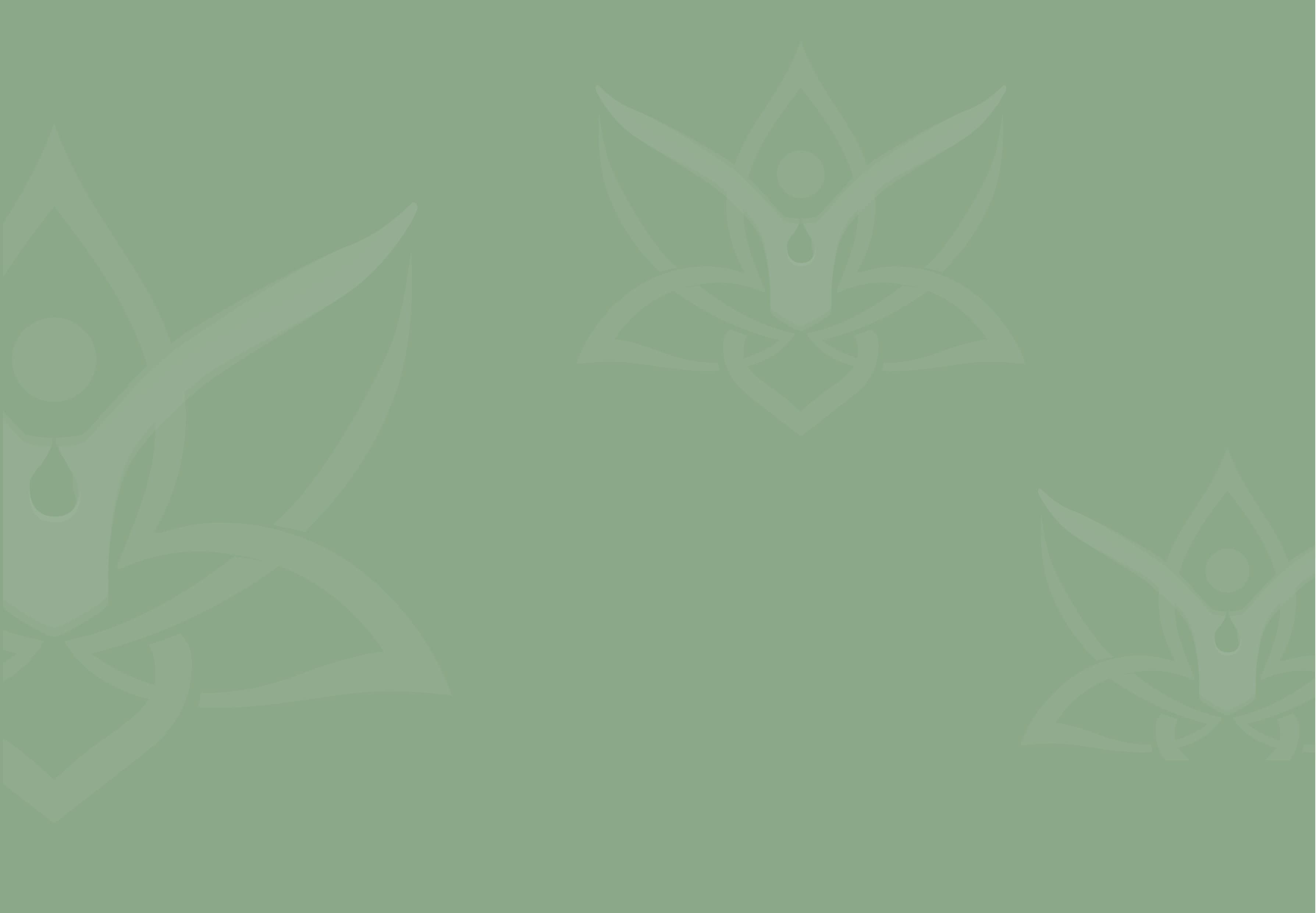 The Foundations of Self-Esteem